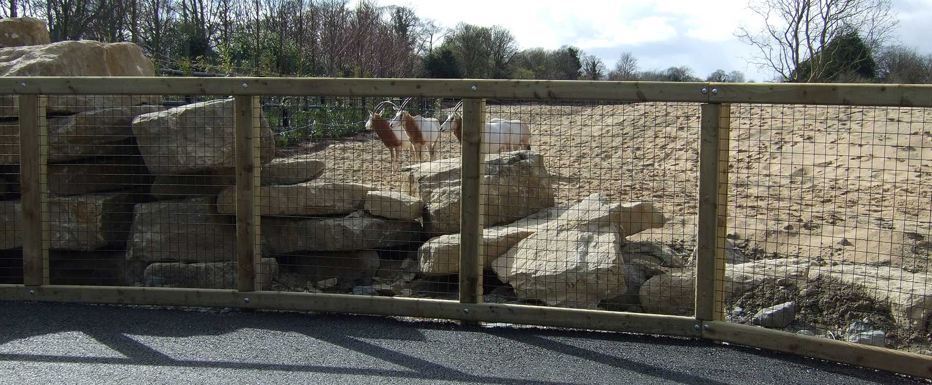 Dublin Zoo