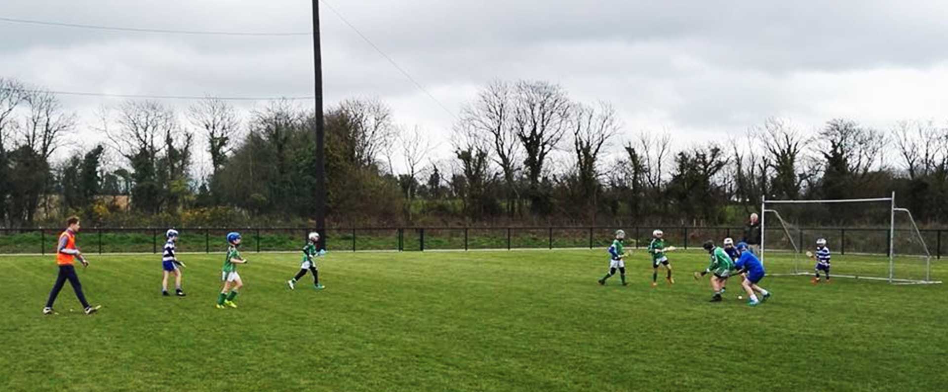 Ashbourne GAA, Meath