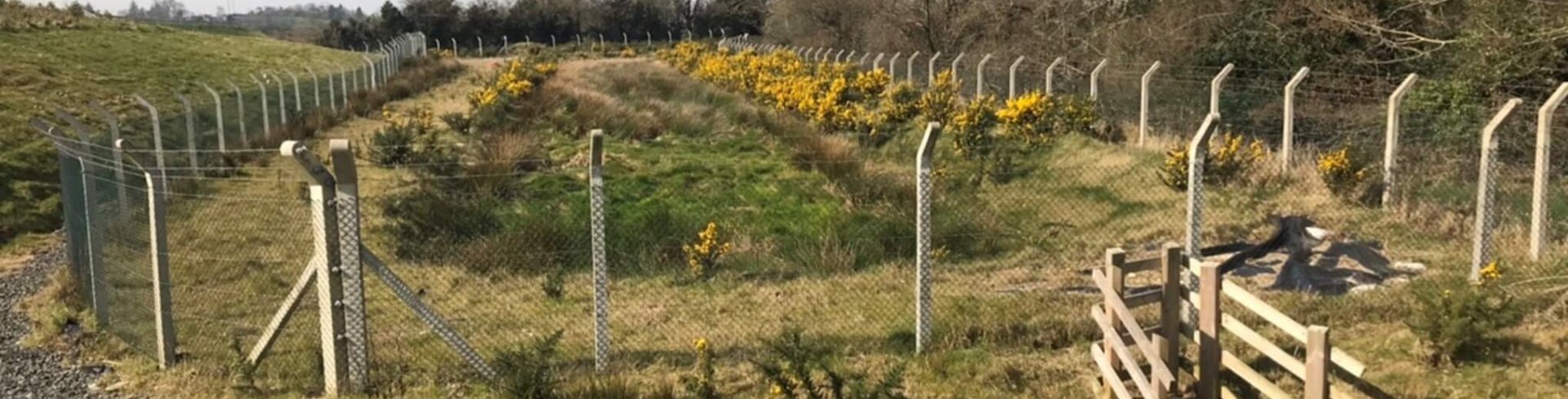 Project: M11 Enniscorthy, Wexford