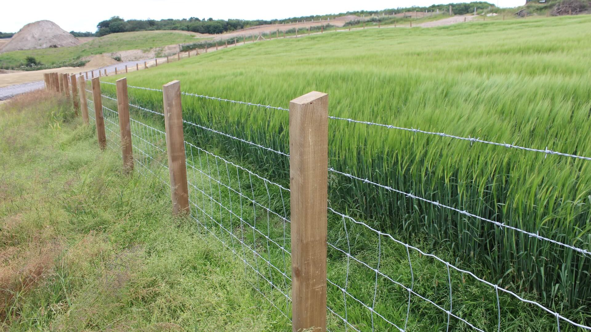 Solar Farm Installation & Fencing Fencing product by Mulligan Fencing